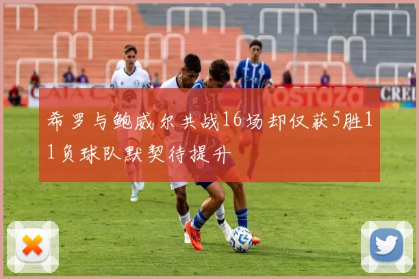 奖项证书